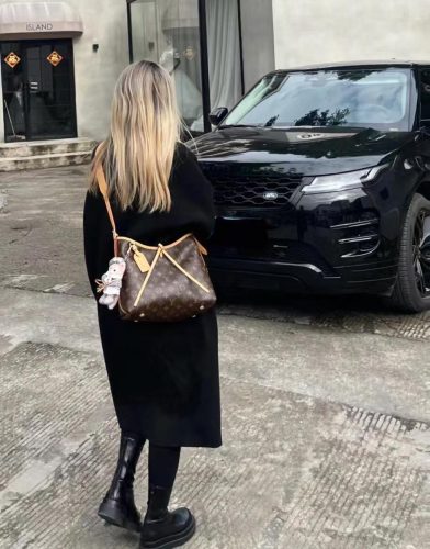 LV CarryAll MM photo review