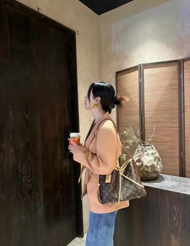 LV CarryAll MM photo review
