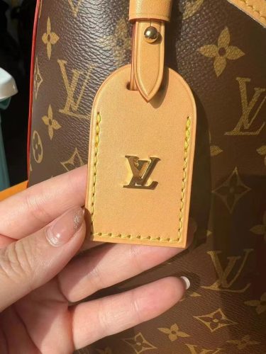 LV CarryAll MM photo review