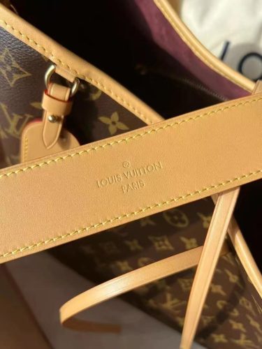 LV CarryAll MM photo review