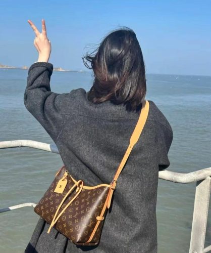 LV CarryAll MM photo review